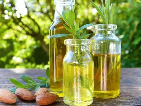 Glazen flessen met pure plantaardige oliën tussen groen