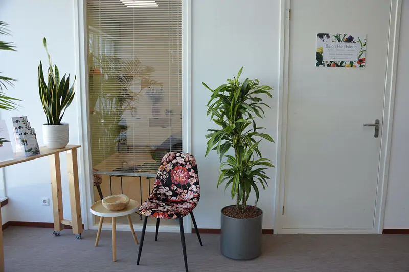 De wachtruimte van Salon Handstede met planten en wandplanken